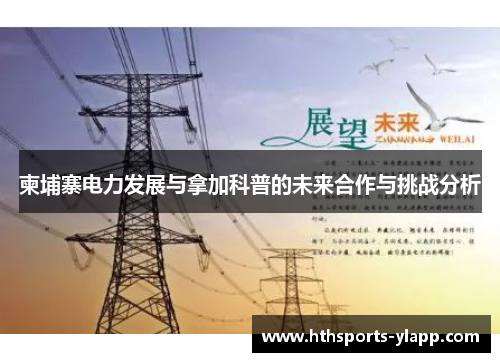 柬埔寨电力发展与拿加科普的未来合作与挑战分析